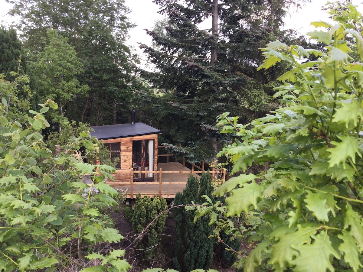 Hillside cabin among the trees.