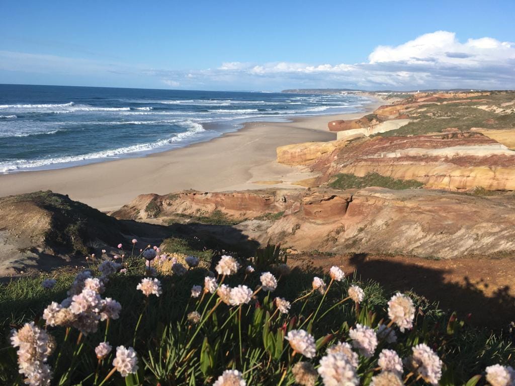 Private room with workspace by the surf in Baleal