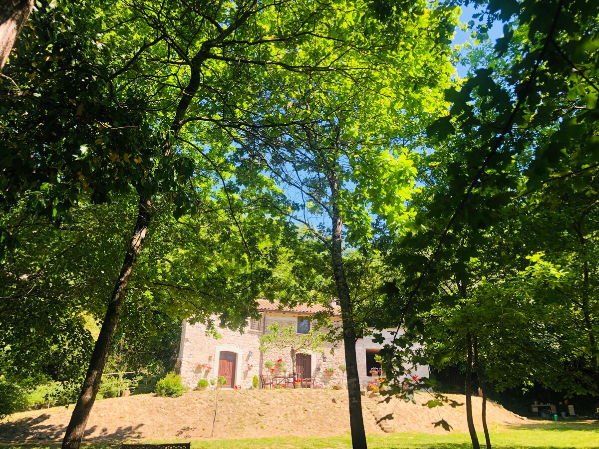 Il Bosco Di Lulù-Casolare in stone