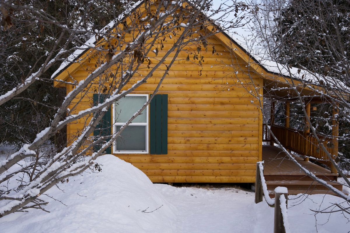 Two Bear 's Alaskan Cabin -带Loft的单间公寓