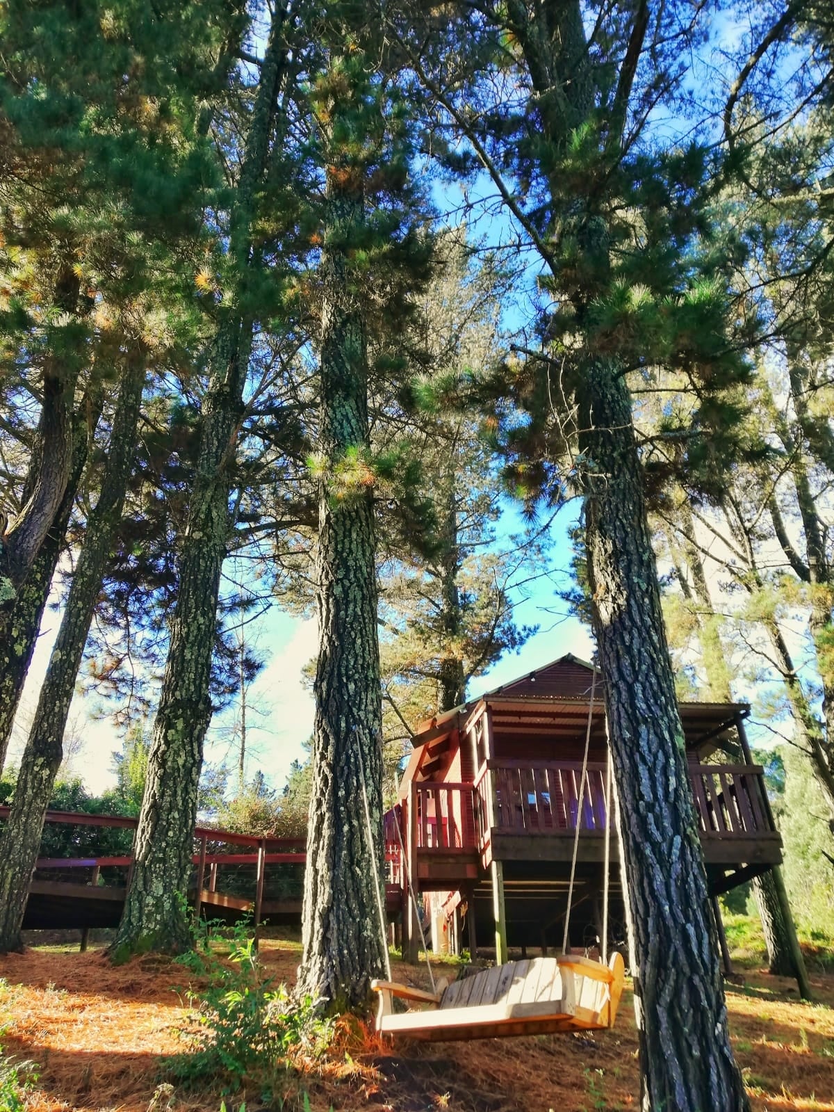 The Cabins Hogsback - Honeybee Cabin (4/4)