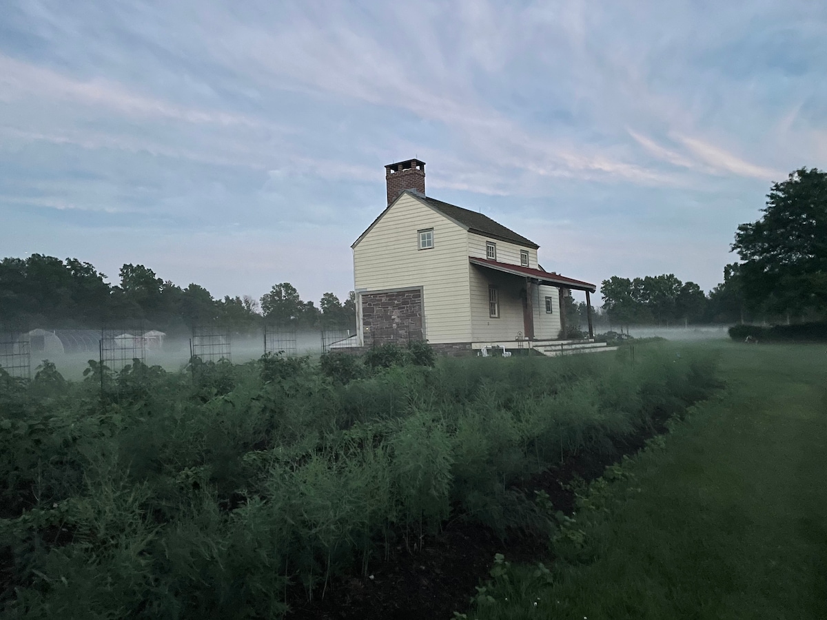 夏季厨房小屋：田园优雅