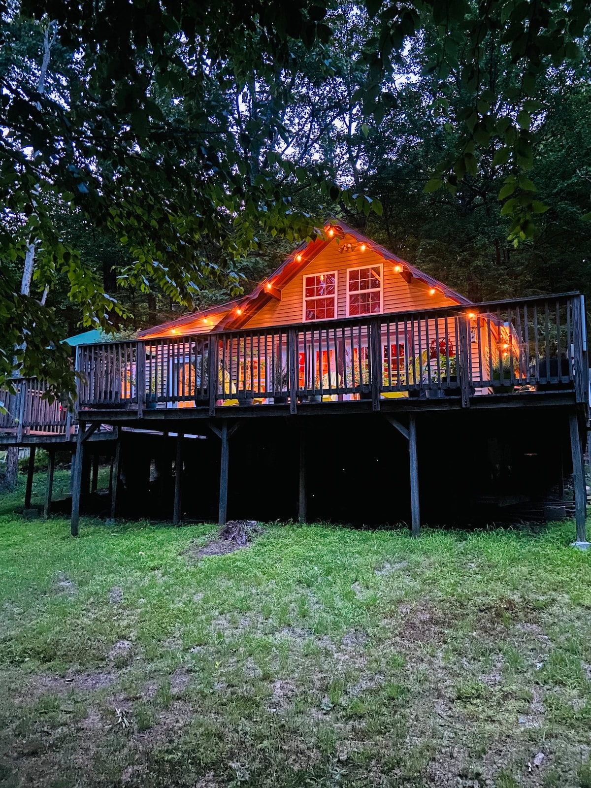 Cozy chalet in the woods