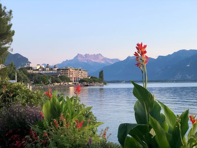 Montreux的民宿