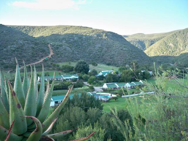 奥茨胡恩（Oudtshoorn）的民宿