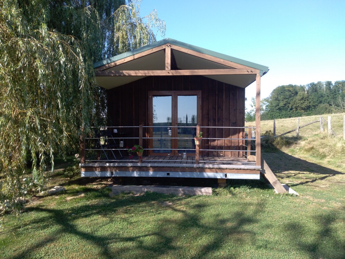 chalet avec terrasse en pleine nature