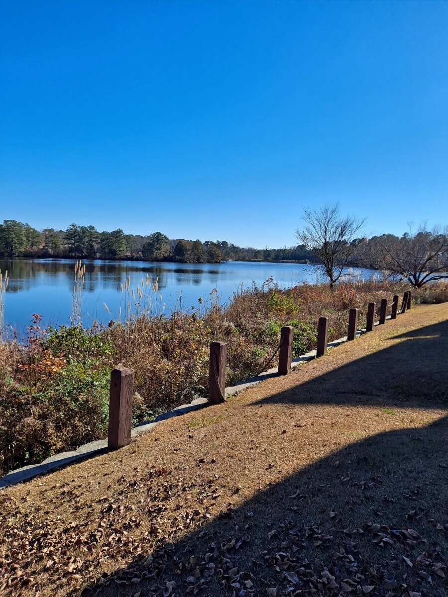 Lake Front Living