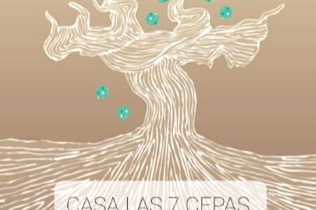 CASA LAS 7 CEPAS.现代舒适。热水浴缸