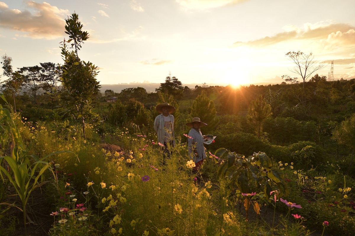 Pea Nature Farmstay