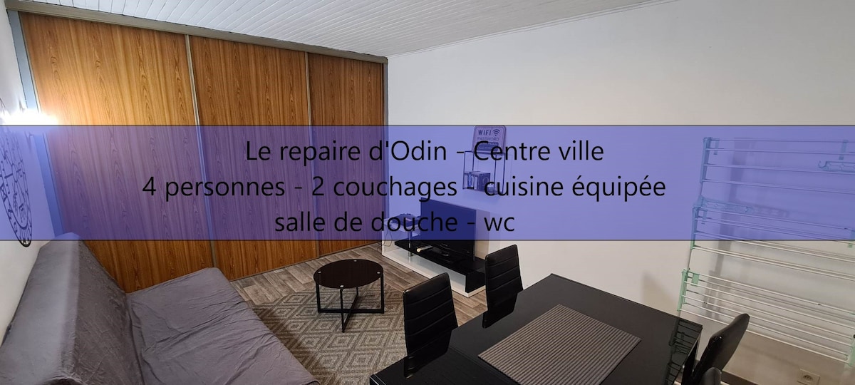 Le repaire d'Odin - au coeur du centre ville