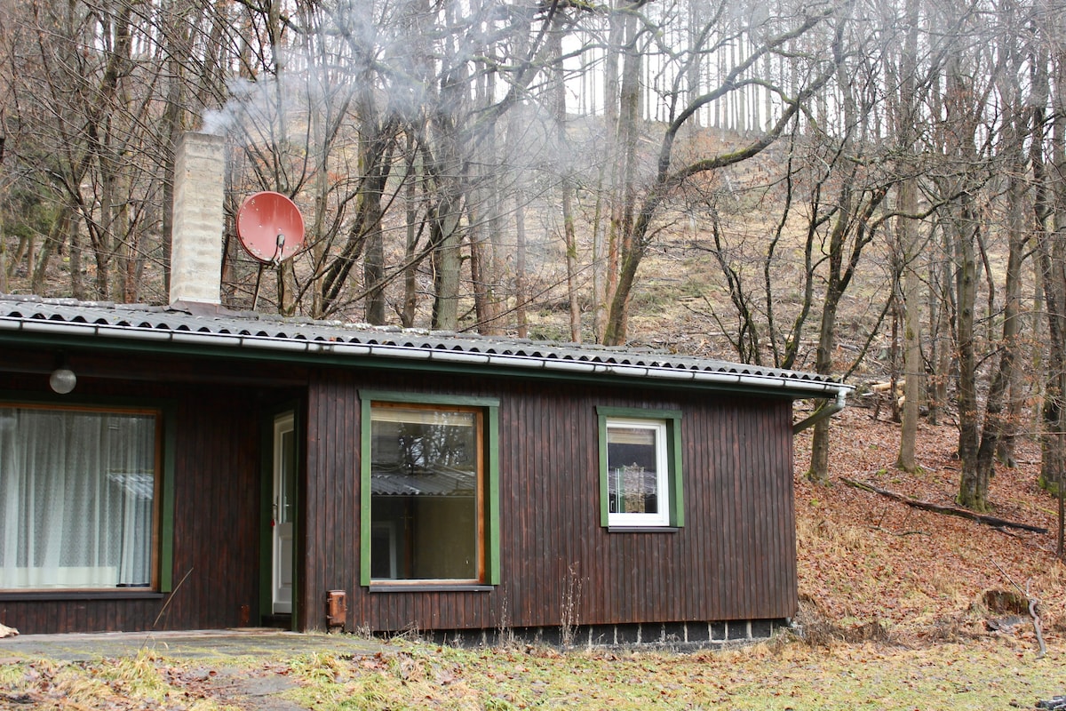 Private cosy forest cabin in Stolberg/Harz