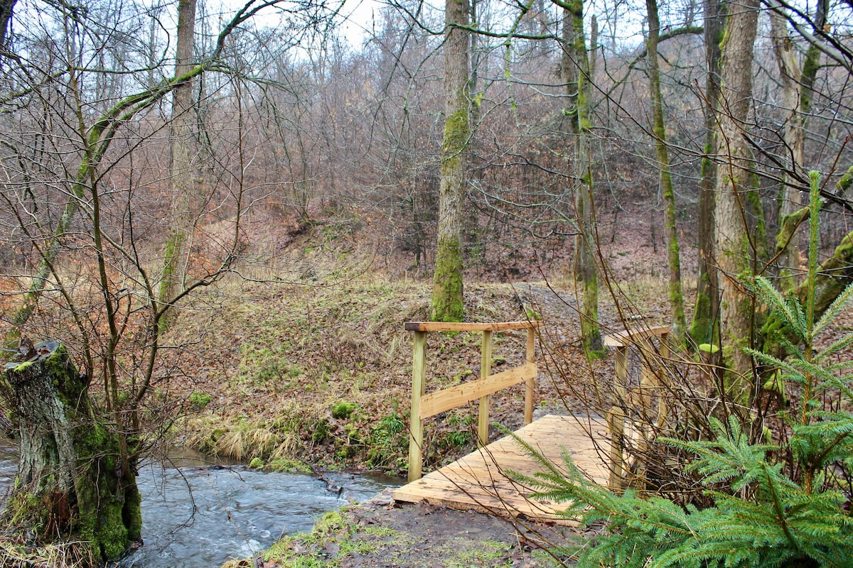 Private cosy forest cabin in Stolberg/Harz