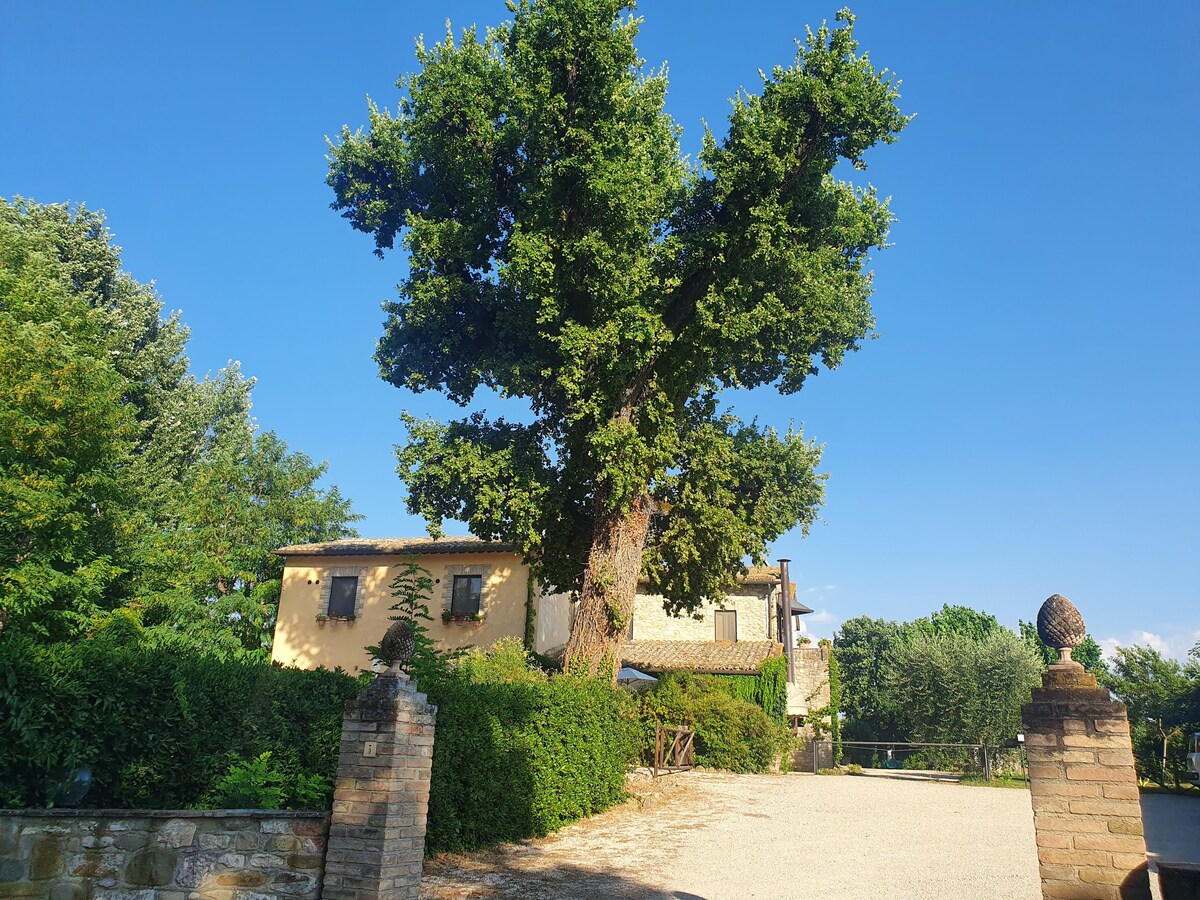 靠近阿西西（ Assisi ）的带泳池的理想家庭度假胜地