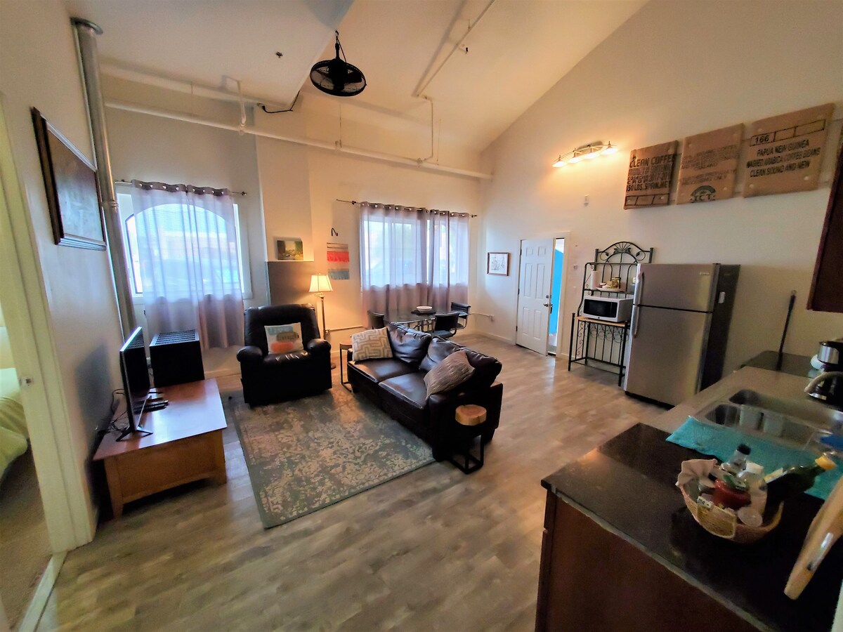 Modern vaulted 2BR condo, Downtown Live/Work