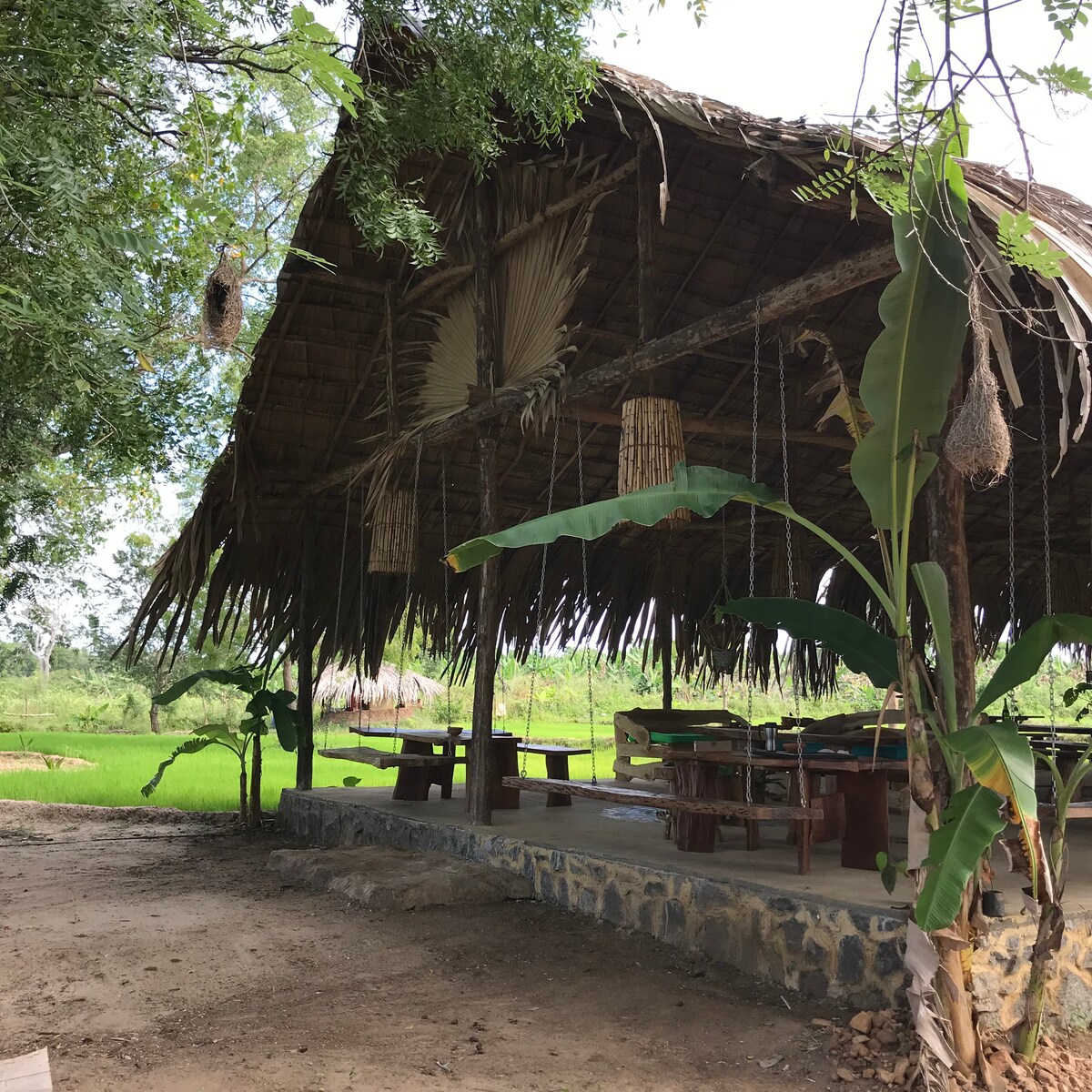 Mallara RestSafari （丛林小屋和餐厅）