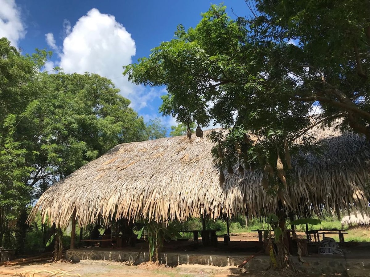 Mallara RestSafari （丛林小屋和餐厅）