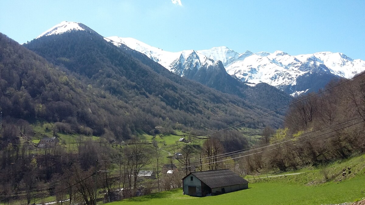 舒适的小屋Val d 'Azun Pyrenees