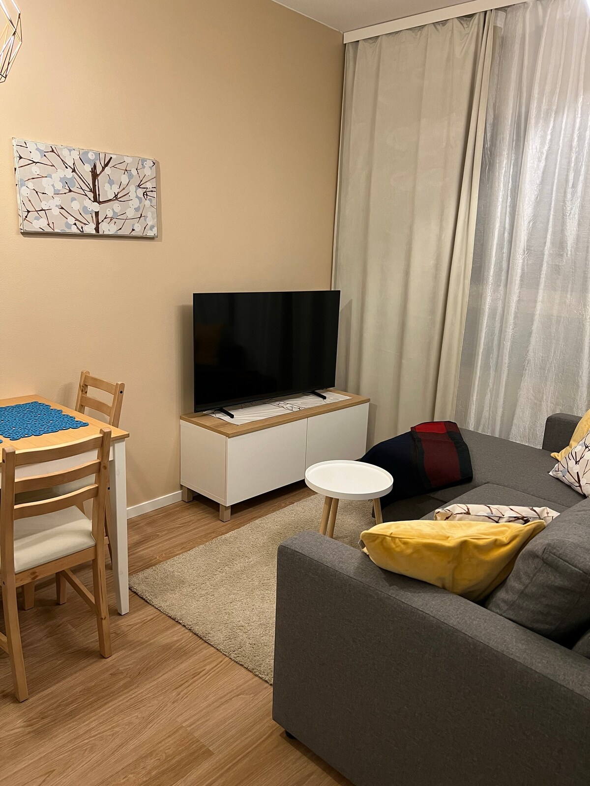 Kuopio市中心的舒适单间公寓