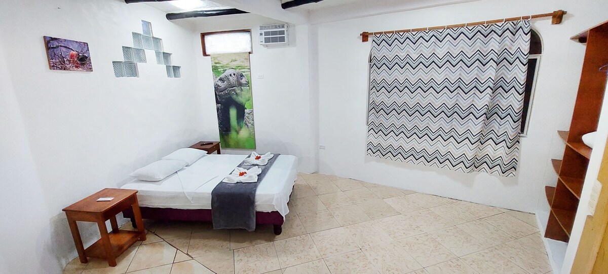 Habitación Individual Económica