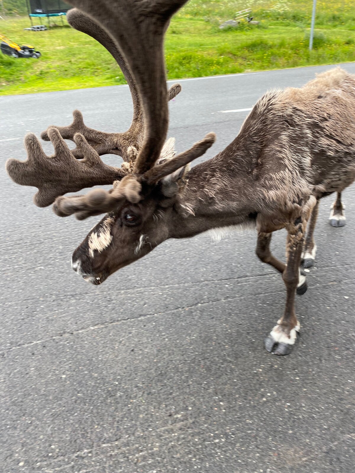 Hytte som står på påler i vannet