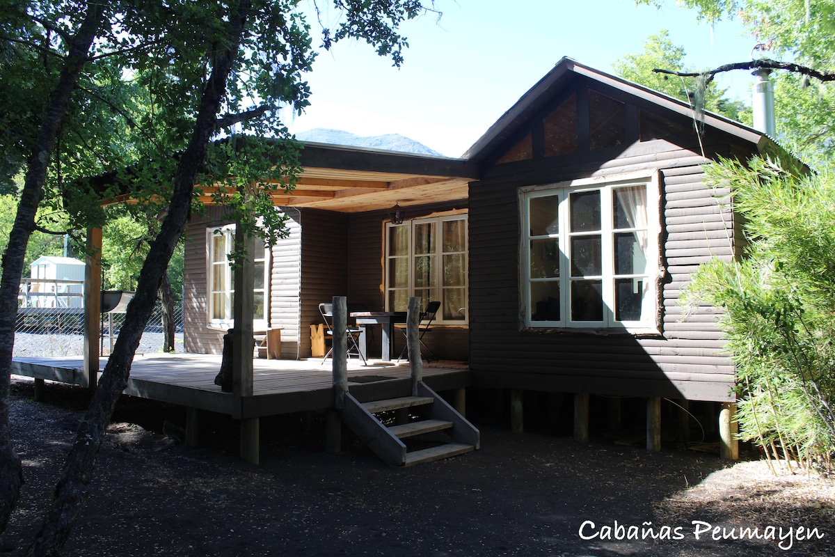 位于Termas de Chillan的Peumayen Cabin