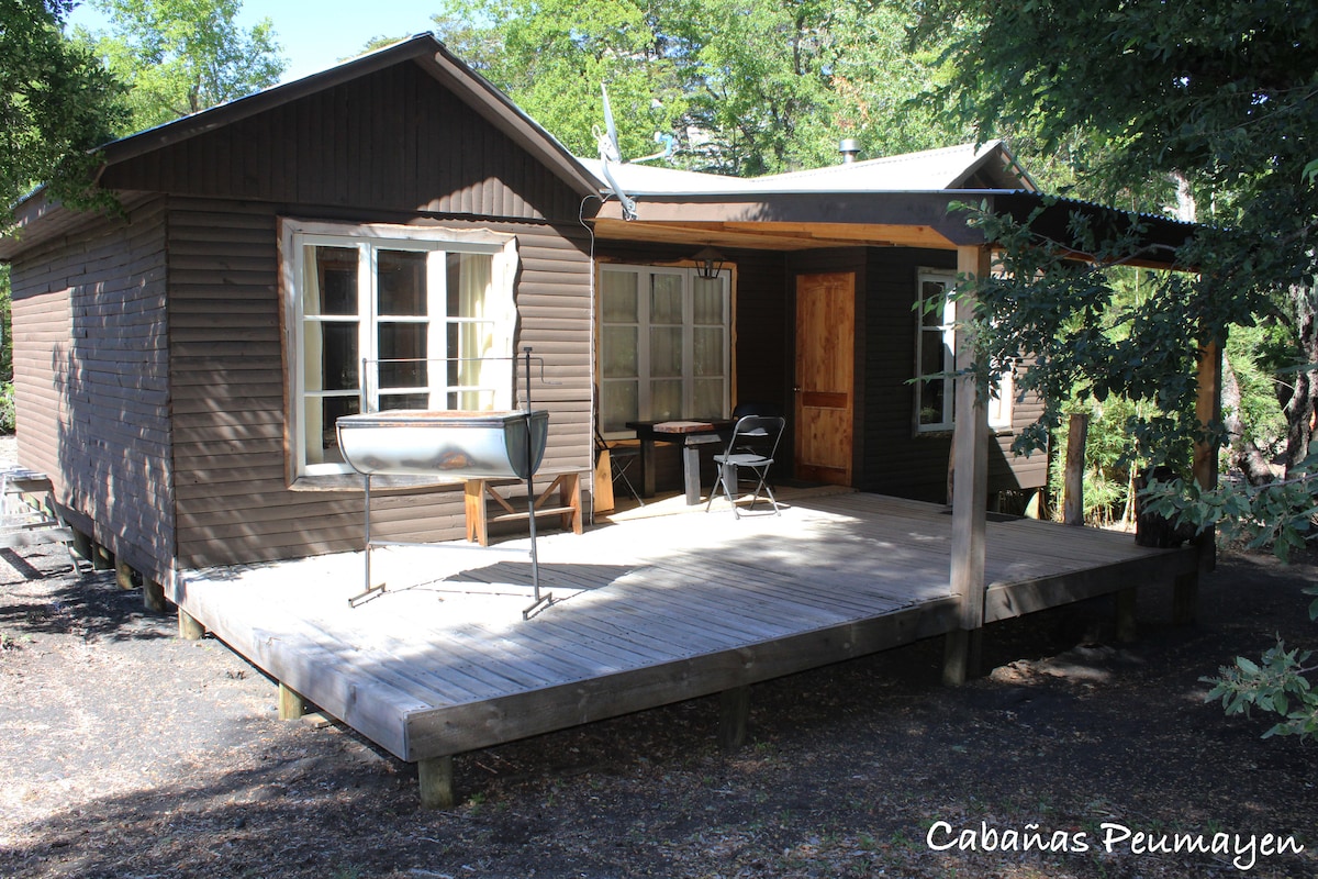 位于Termas de Chillan的Peumayen Cabin