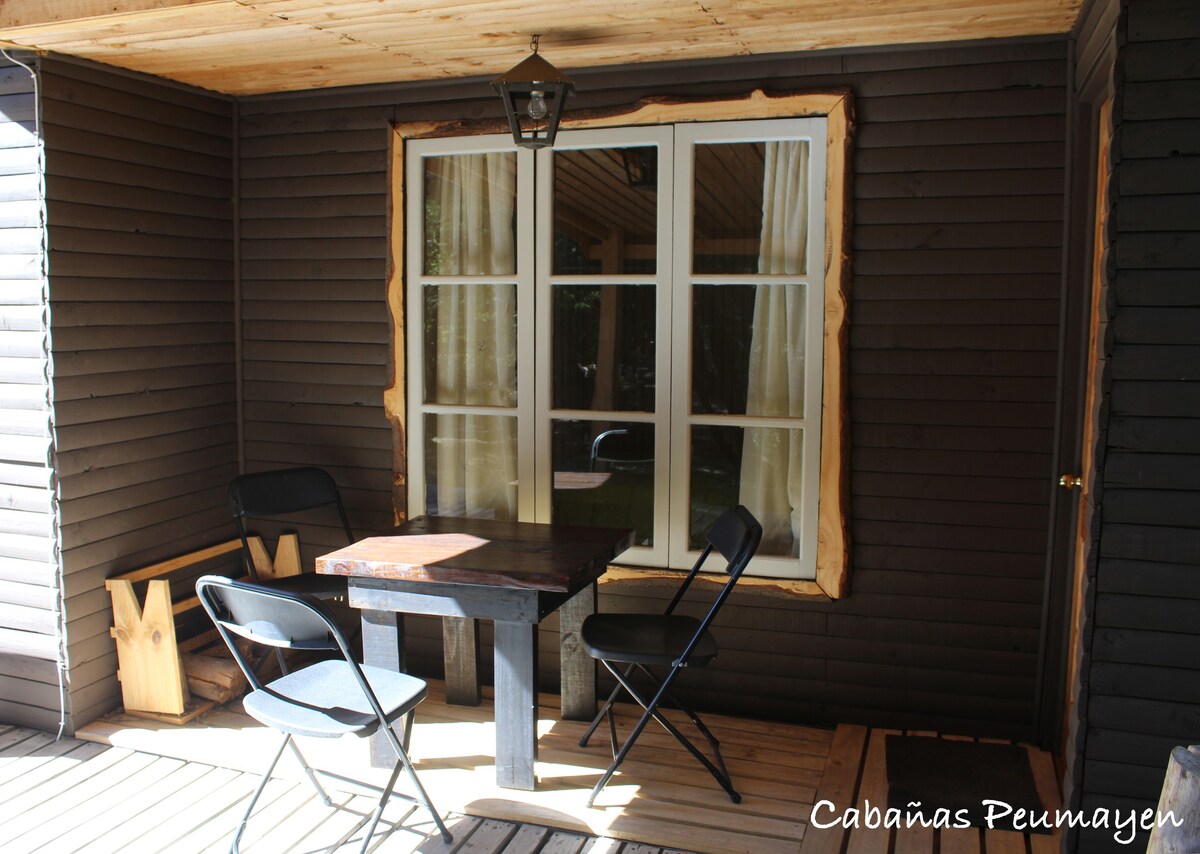 位于Termas de Chillan的Peumayen Cabin