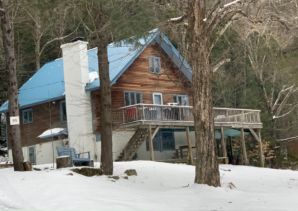 Beautiful Large Ski House Minutes to Mount Snow