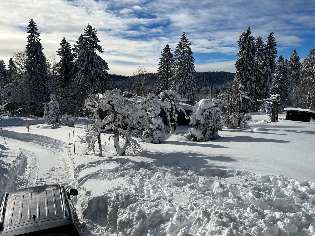 Cosy family chalet for summer-/wintersports