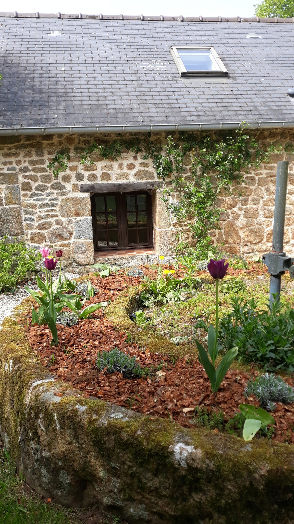 Le gîte ArboréSenS au cœur de la Suisse Normande