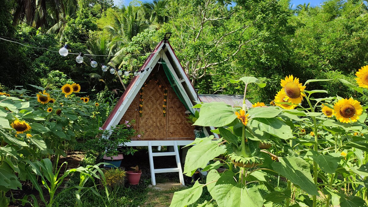 Farm Stay at Mulanay, Quezon at Ay Labuyo Farm.