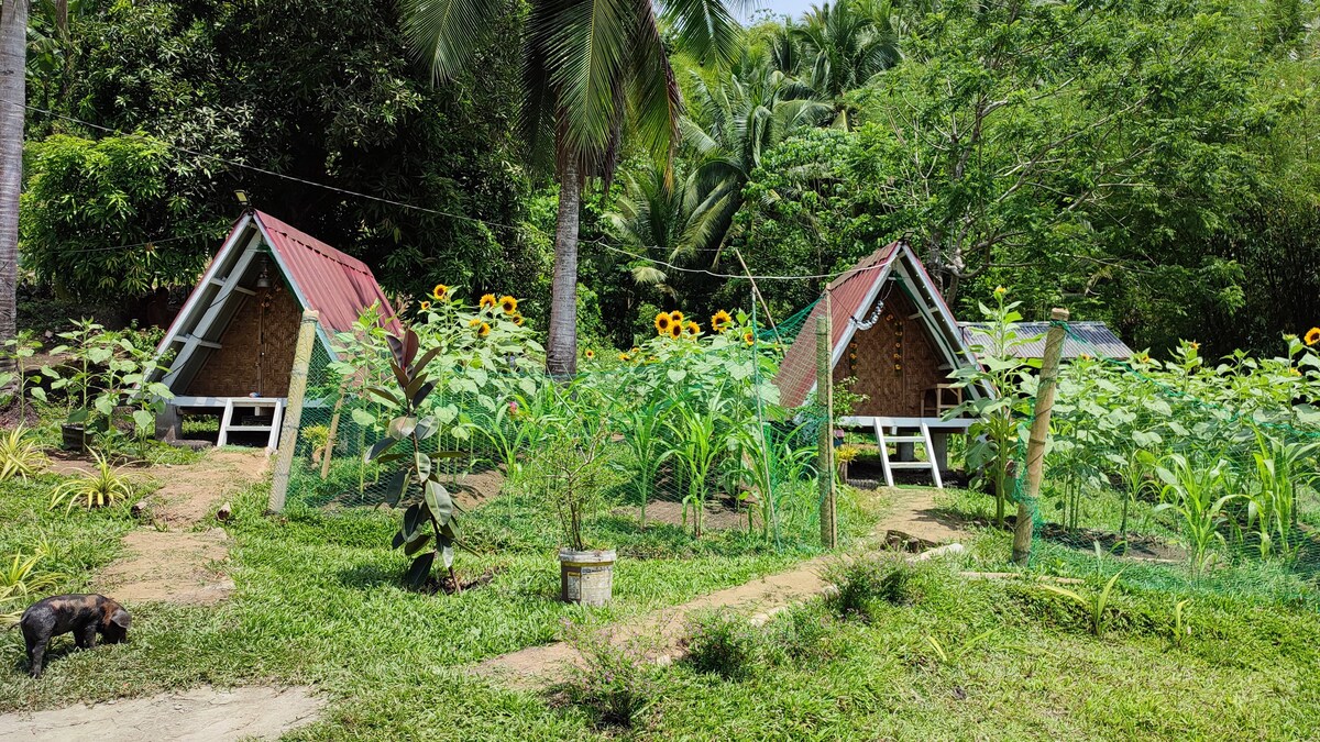 Farm Stay at Mulanay, Quezon at Ay Labuyo Farm.