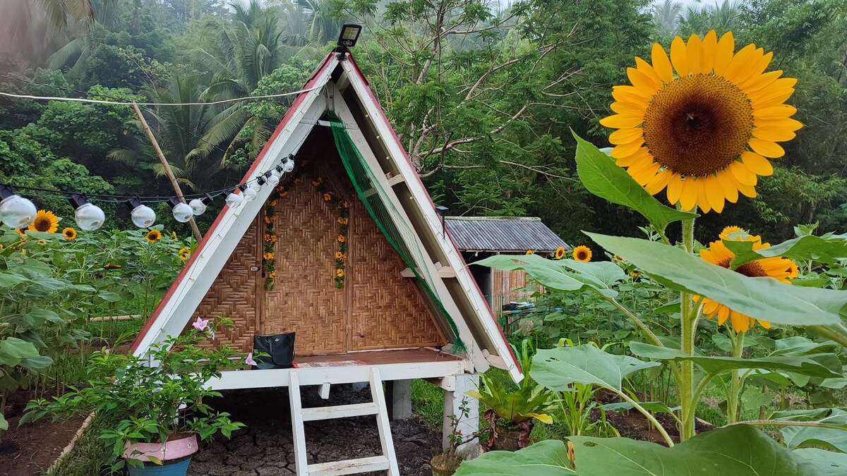 Farm Stay at Mulanay, Quezon at Ay Labuyo Farm.