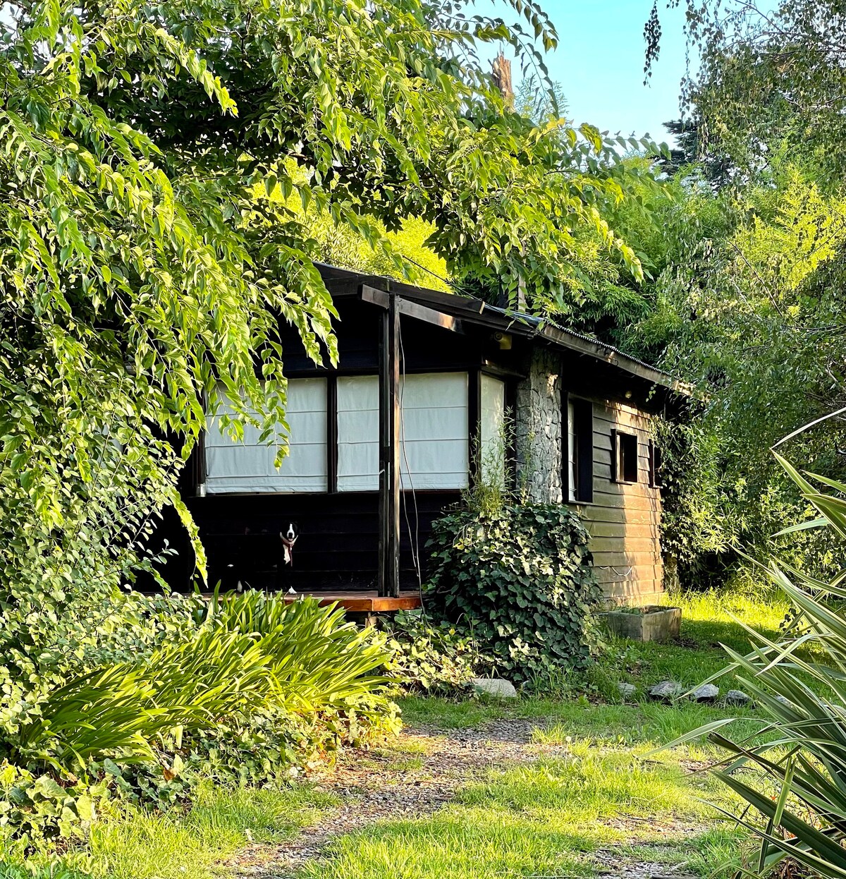 Casa Cabaña Bosque Peralta Ramos