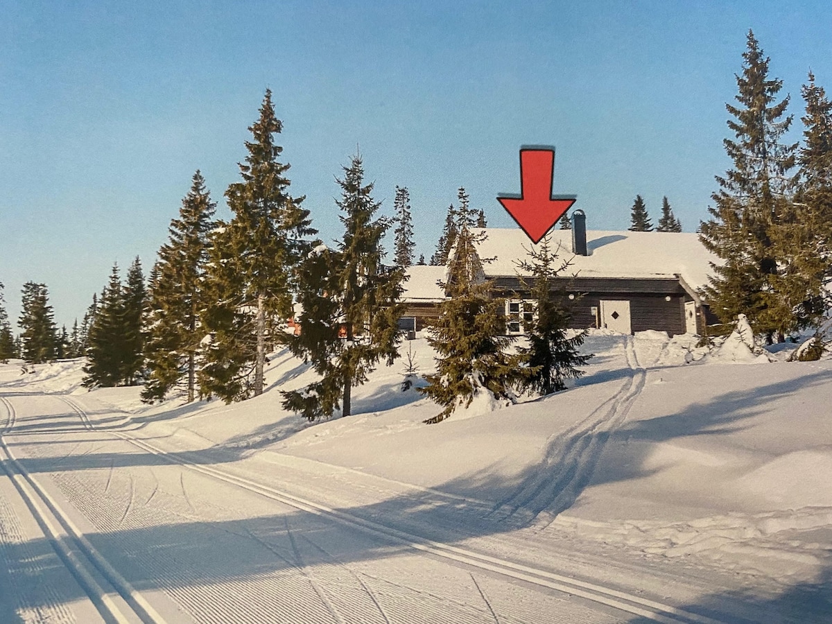 2021 renovated cabin - ski in/out