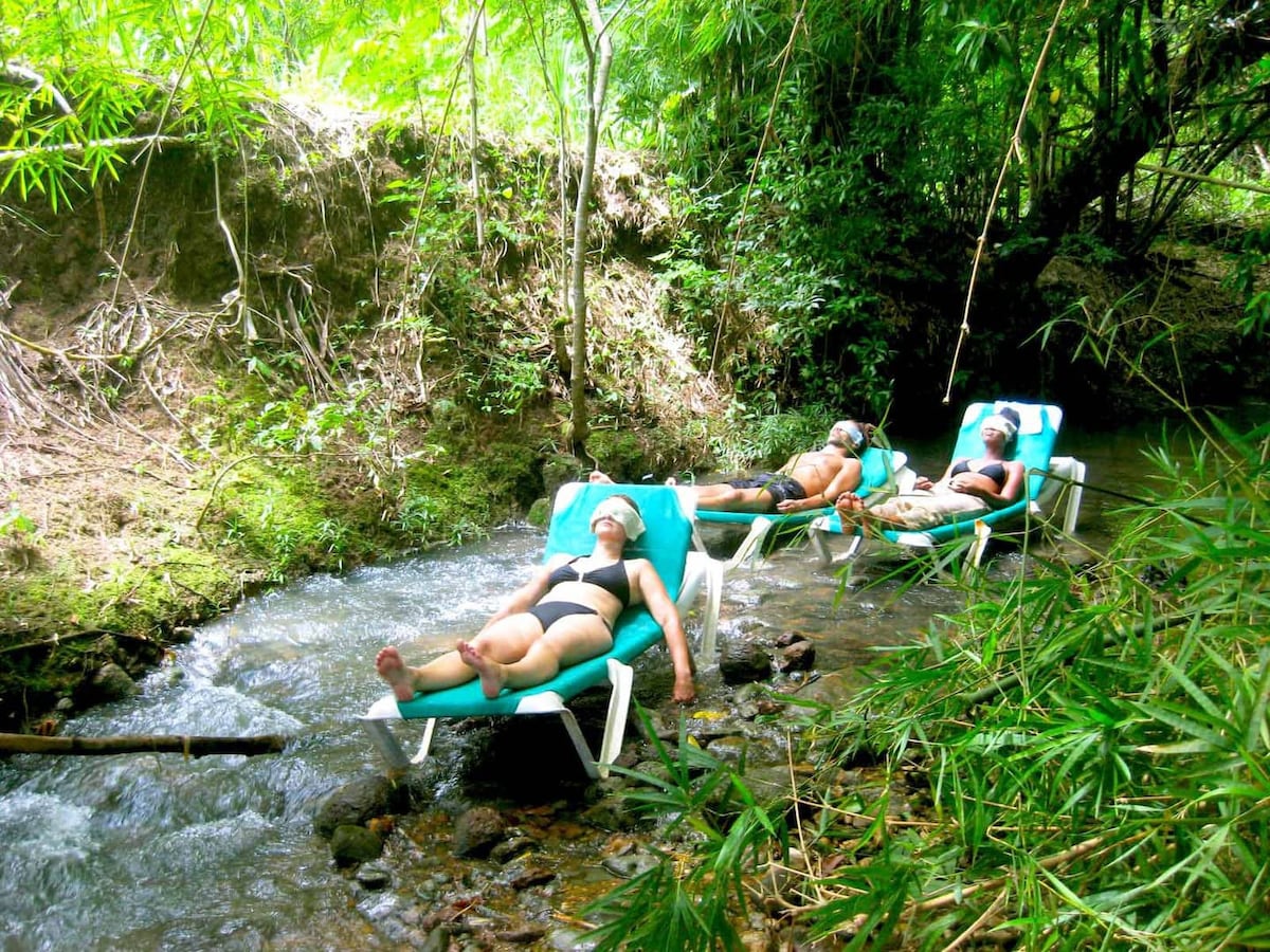 Swing To The Jungle From Zimbali Retreats Suite II