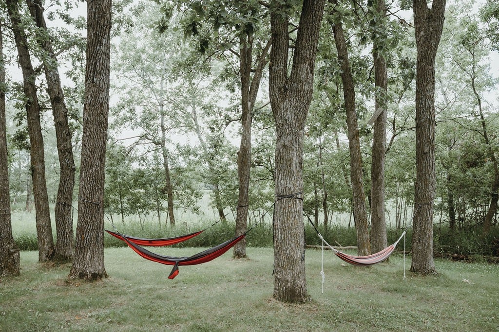 Birch Tent at The Grove Glamping