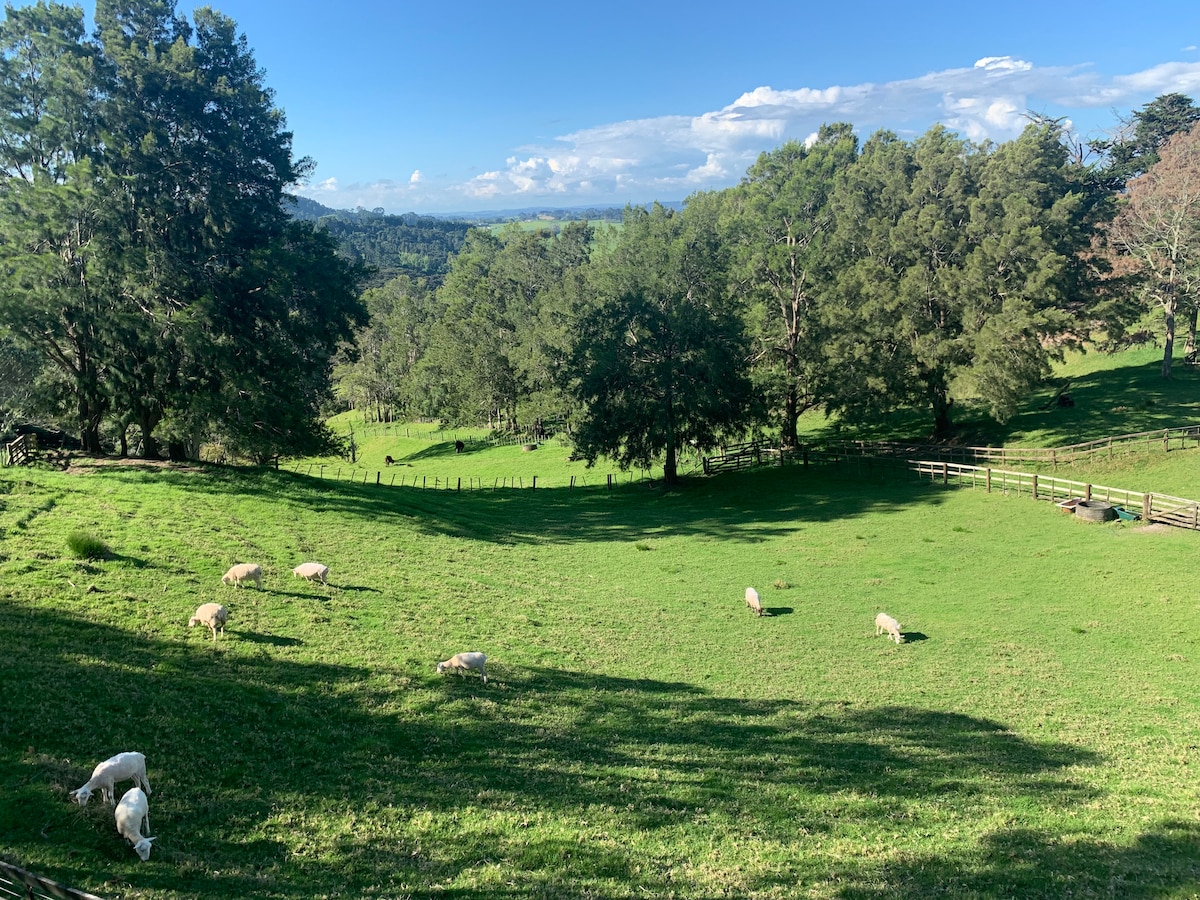 舒适的Waitakere Farmstay （农庄民宅）