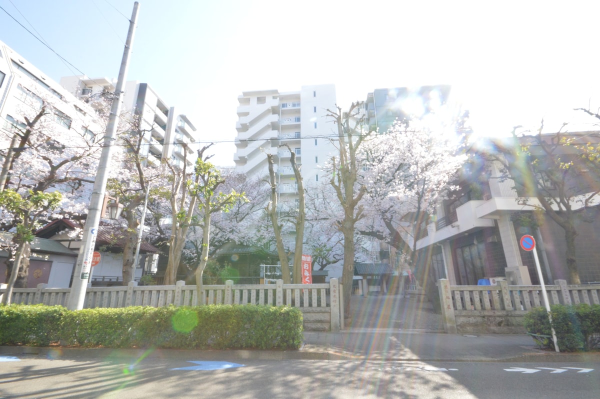 非常适合MINO 403、3LDK、东京-横滨漫步基地、羽田20分钟、JR蒲田7分钟、品川9分钟、樱花季节欢迎