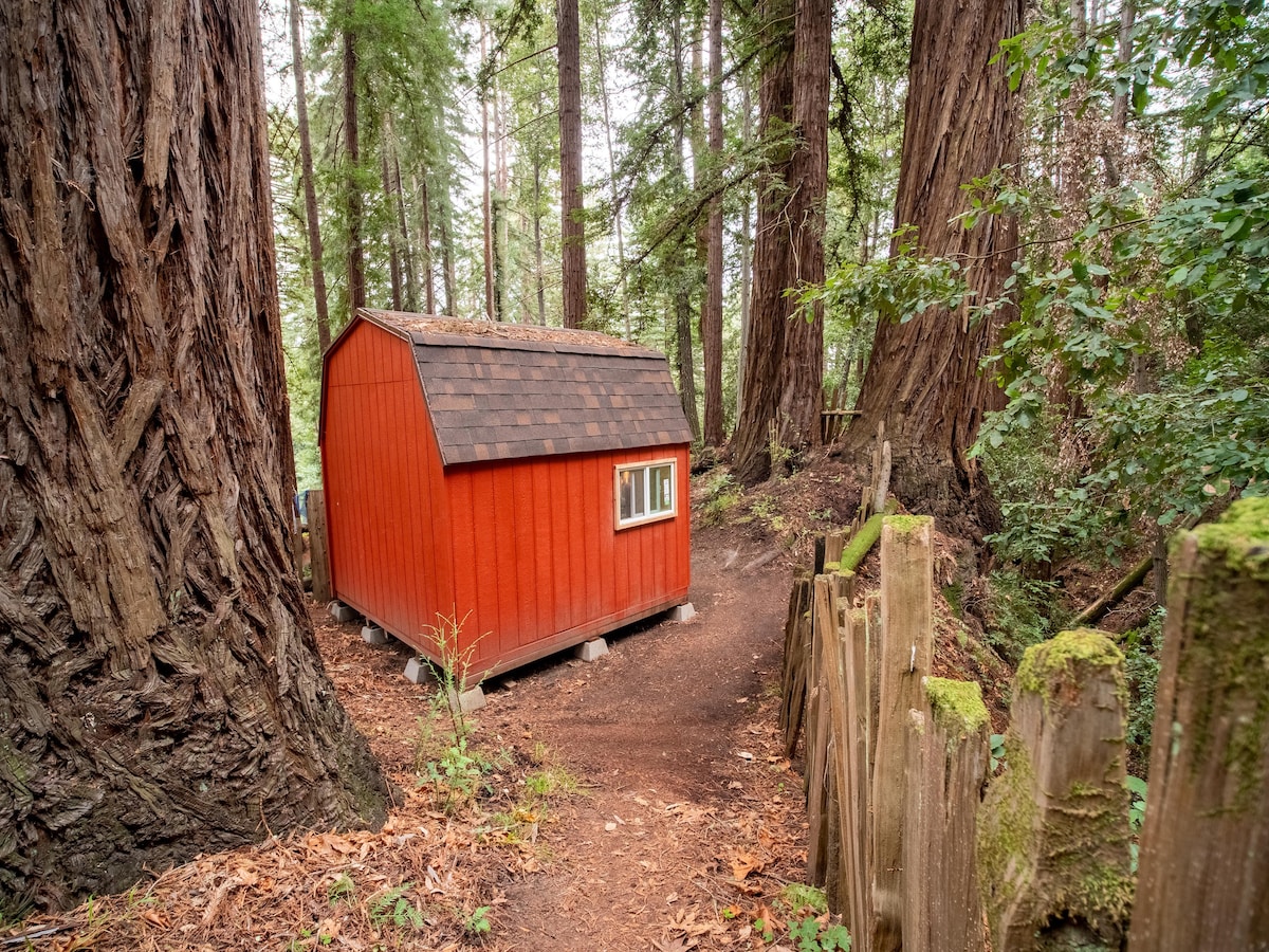 45英亩Redwood Retreat的僻静小禅室