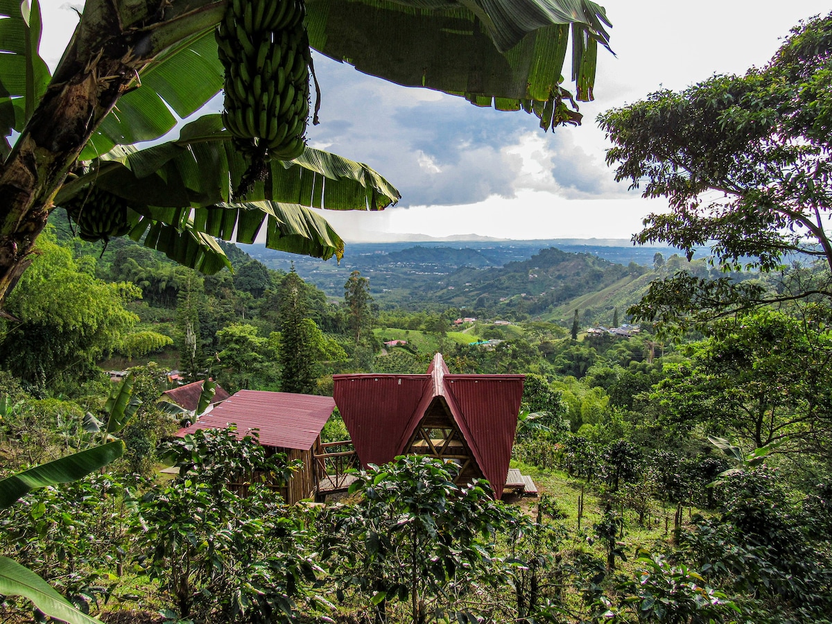 咖啡农场的舒适乡村小屋，景观优美