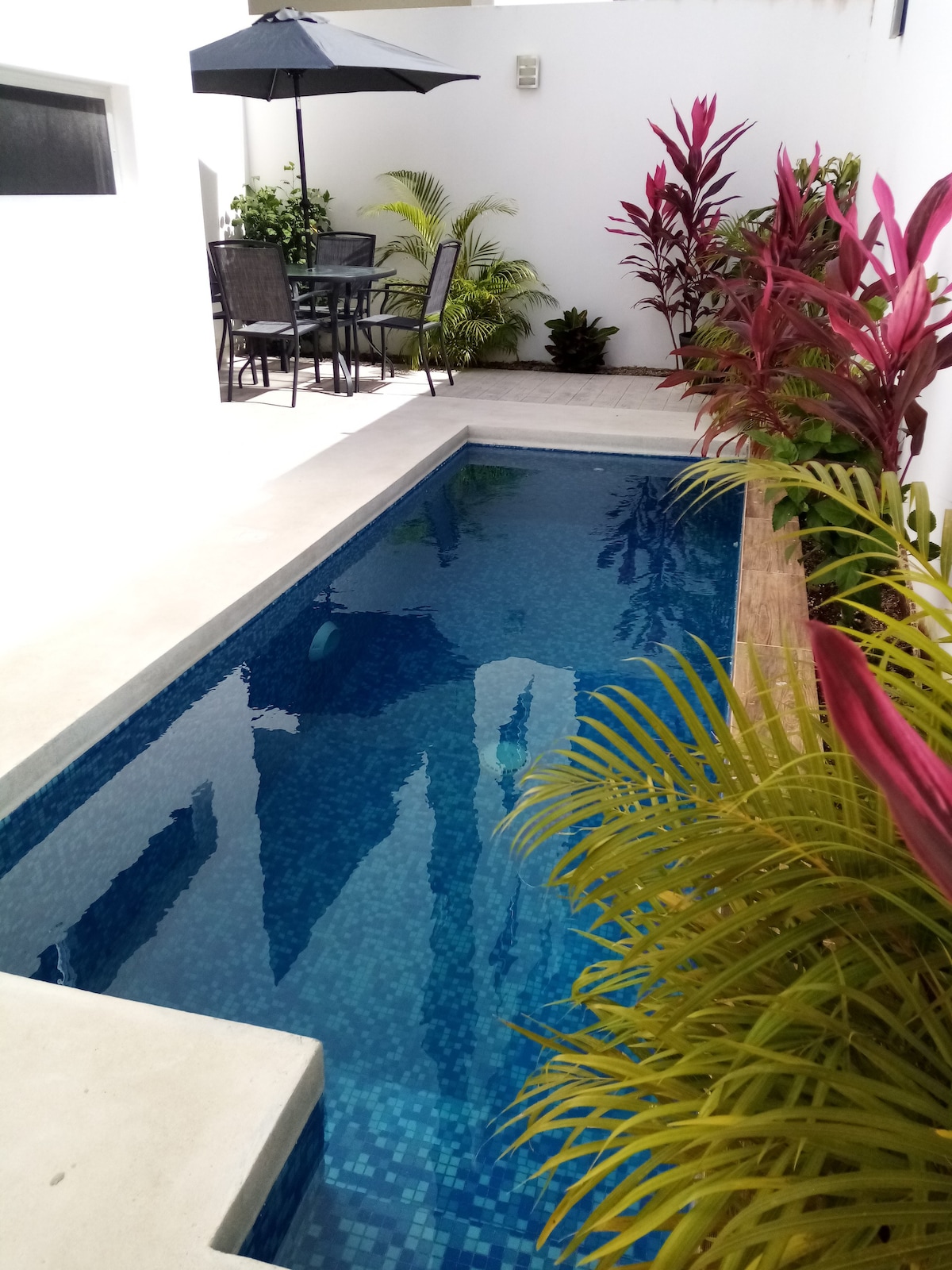 宽敞的房源，带私人泳池和屋顶花园