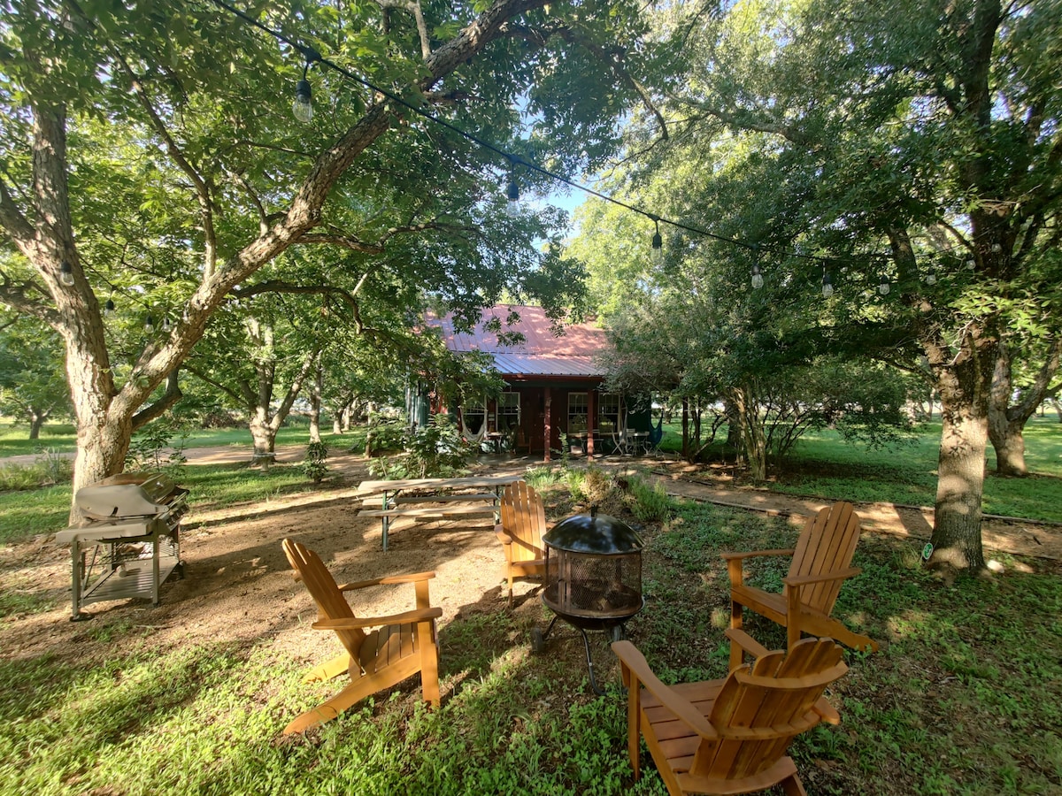 Bird House Countryside Pecan Farm 14ac San Marcos