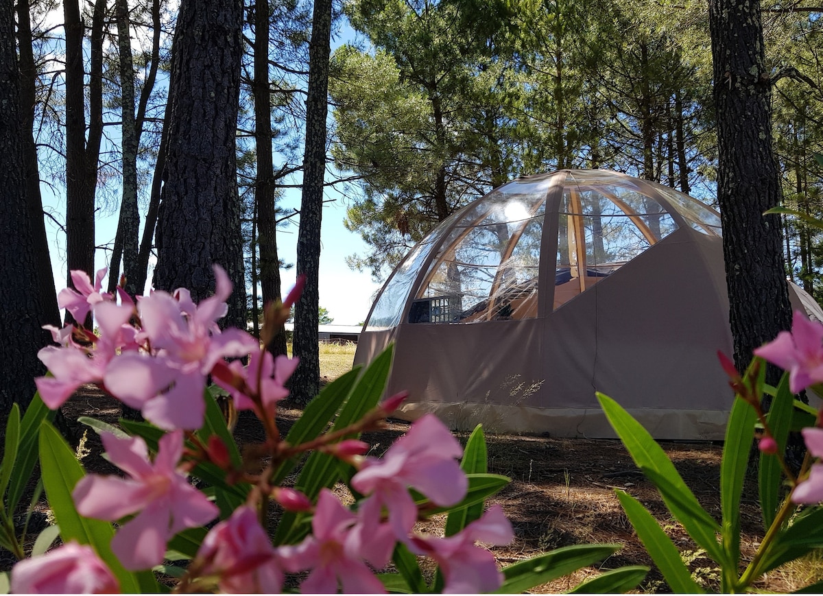 Bubble "étoiles d 'Ardèche"