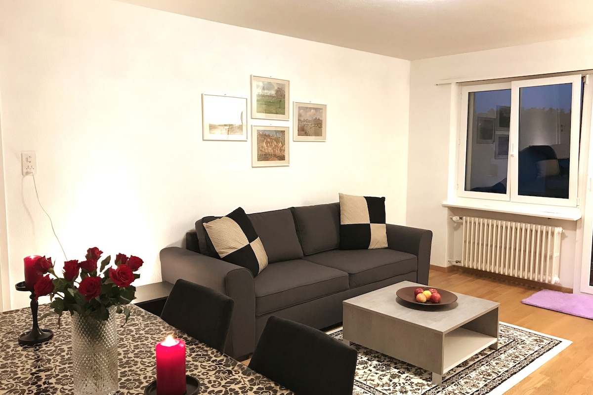 配备家具的现代4.5间客房公寓@ Glattbrugg