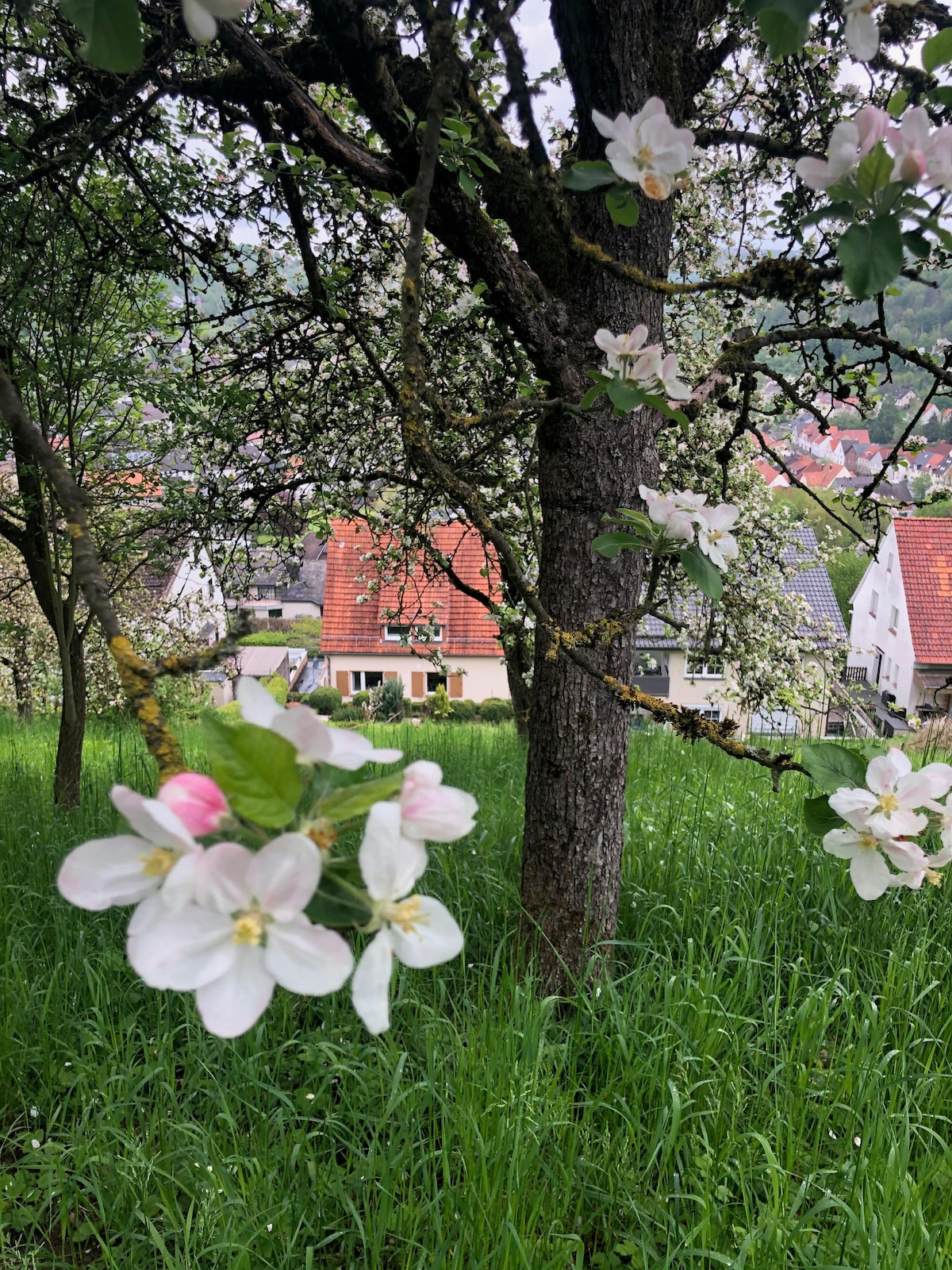 10 persoons Ruim en Sfeervol huis, Weserberegland