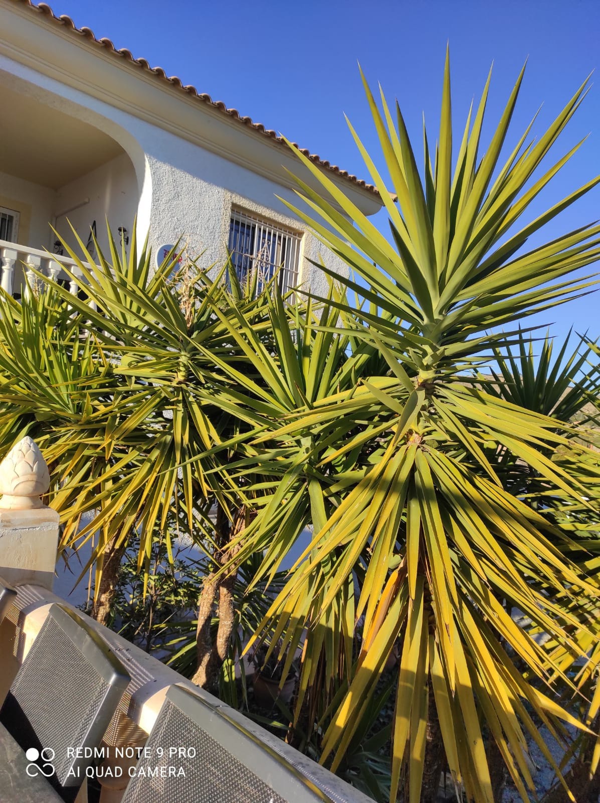 Sunrise Retreat; 4-Bed Villa in Alicante
