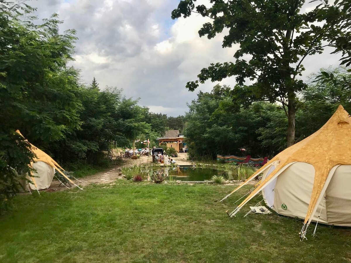 永恒文化和艺术花园露营：帐篷1