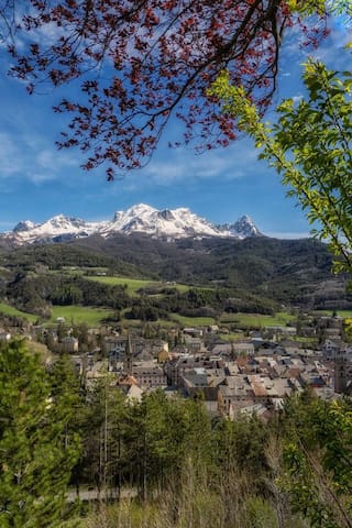 巴尔瑟洛内特 (Barcelonnette)的民宿