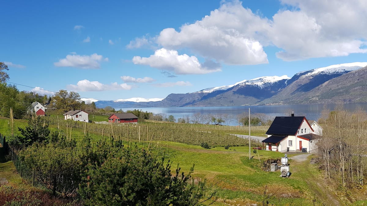 Flott hytte, panoramautsikt over Hardangerfjorden